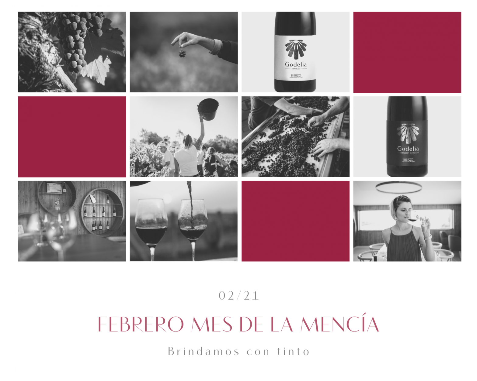 Febrero, mes de la mencía