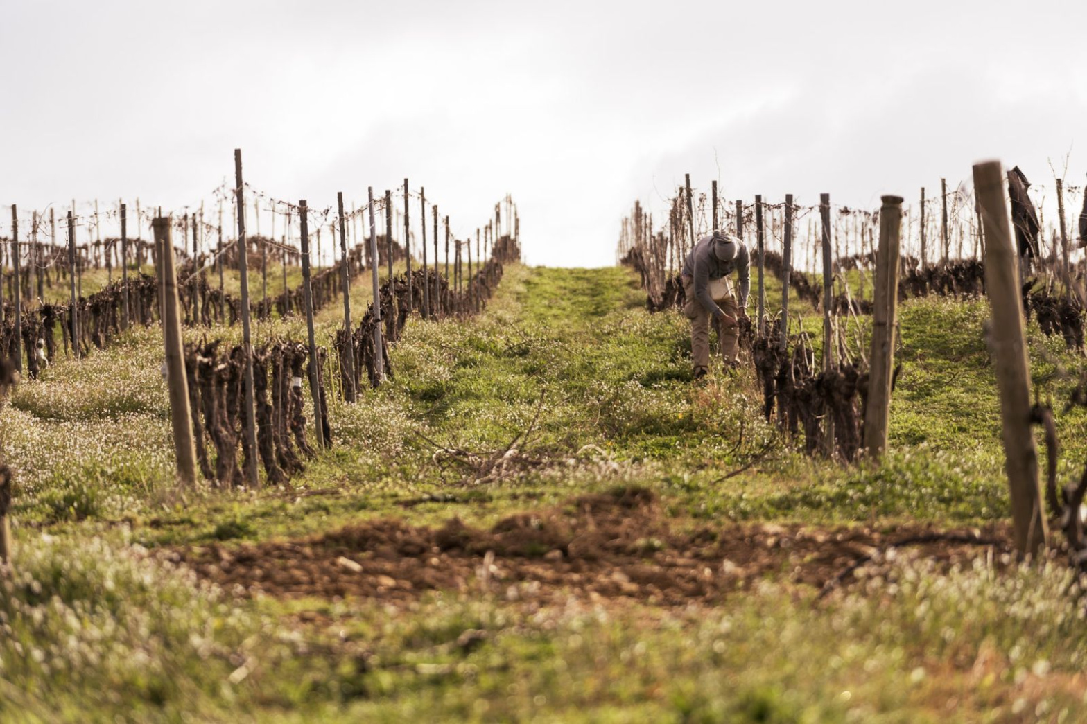 Bierzo inviernos gelidos