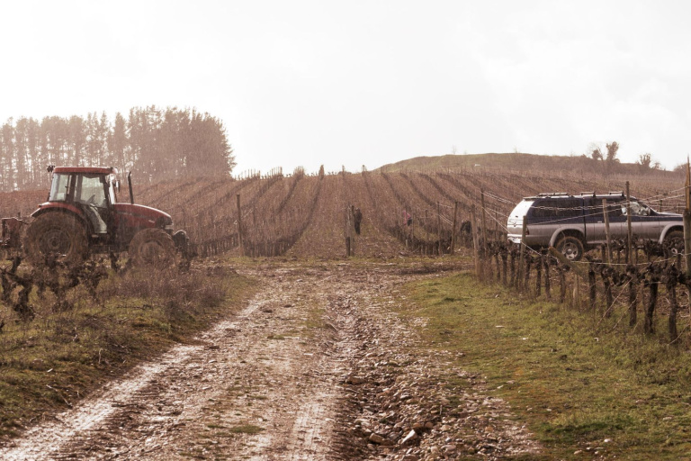 bierzo inviernos gélidos