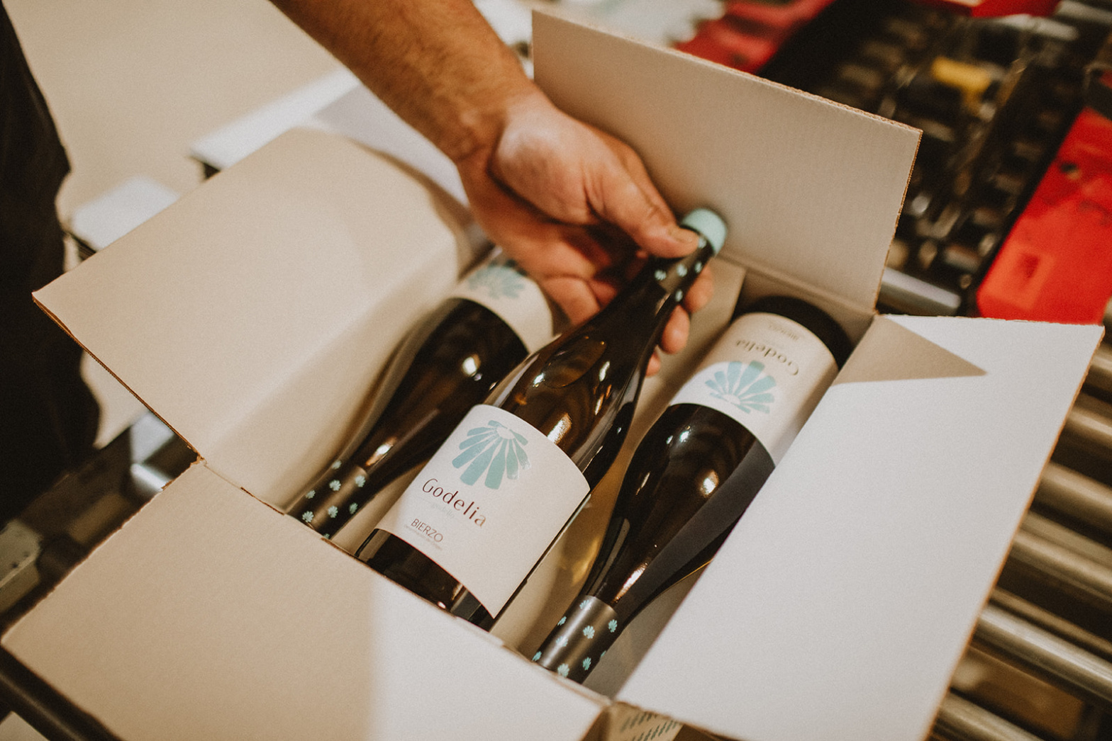 Godelia Godello Wine Spectator