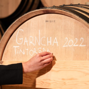 garnacha-extra garnacha-extra