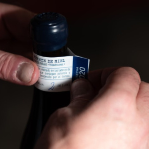 singulares-1 singulares-1