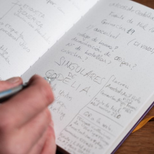 singulares-2 singulares-2