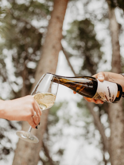 Los viernes de godelia